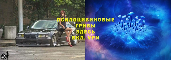 амф Богородицк